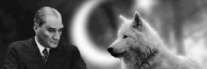 EstKvnc's profile banner image