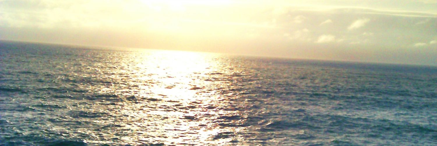 9a027bfda33044c's profile banner image