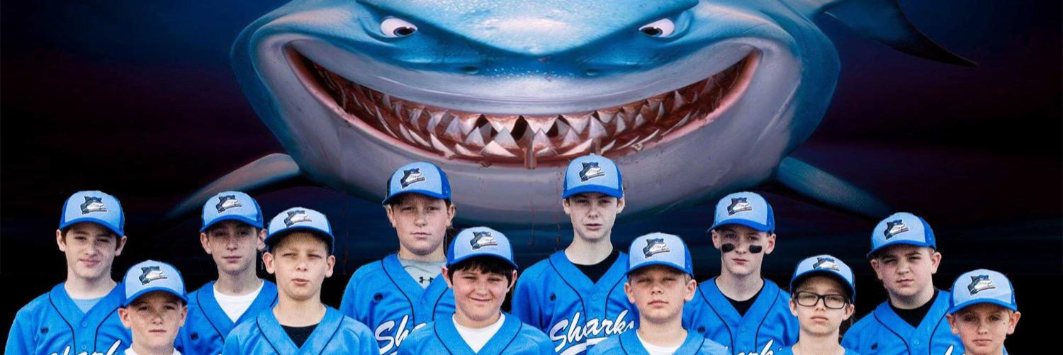 Indy Sharks Baseball banner