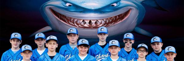 IndySharks Profile Banner