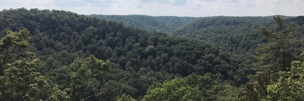 Davis Englund, PhD banner