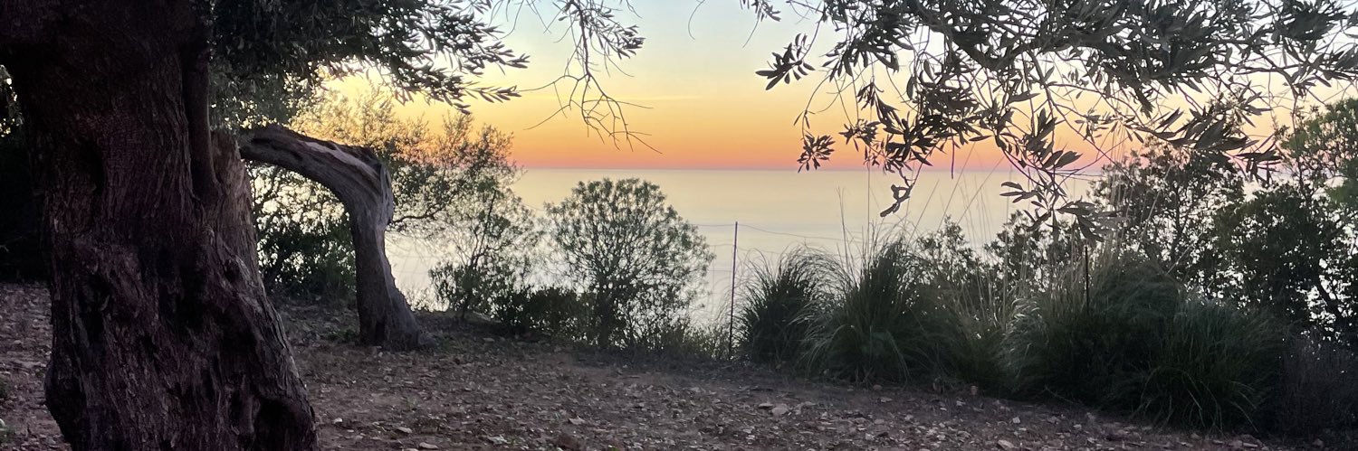 Pau0001's profile banner image