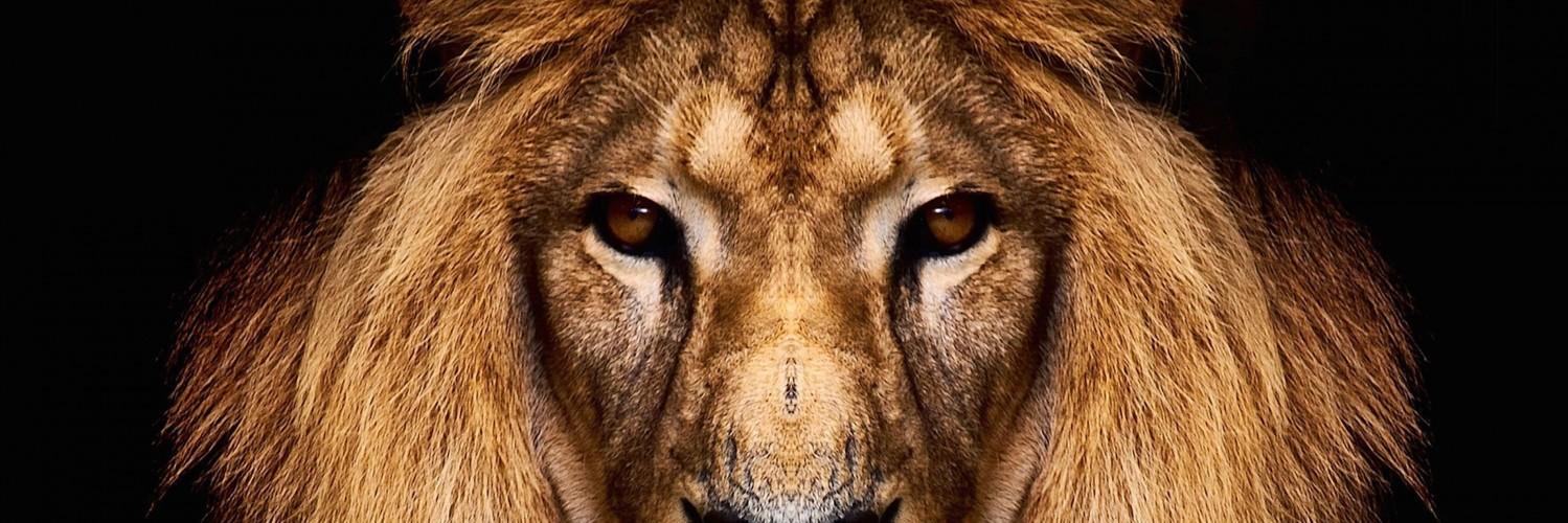 Dev_Yadv9's profile banner image