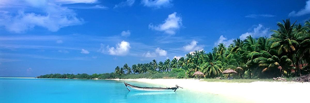 pacific_o's profile banner image