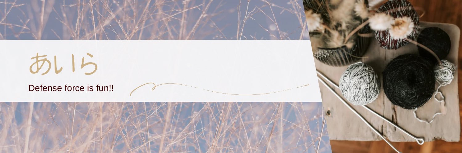 aila818's profile banner image