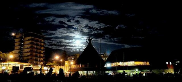 Premgeeth 🇿🇦 🇱🇸🇵🇸 banner