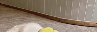 skytina9's profile banner image