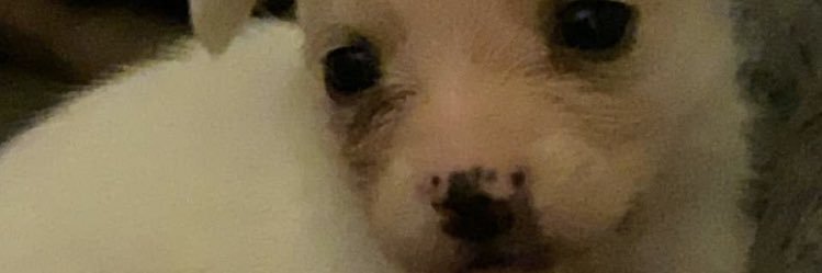 bestradaaa's profile banner image