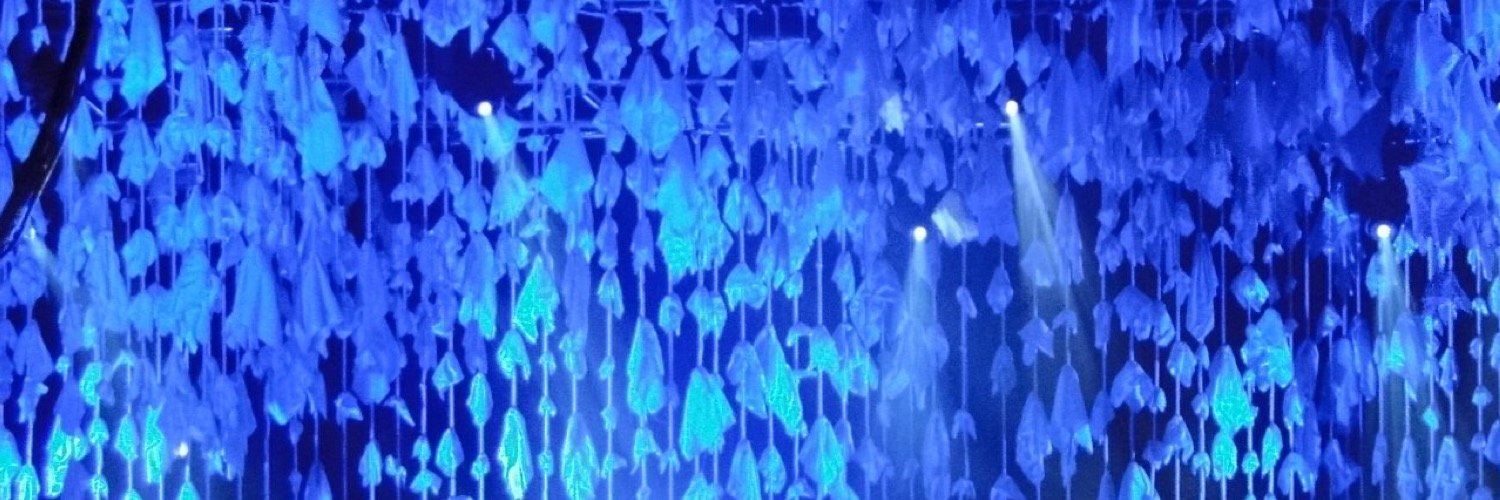 mandaschu's profile banner image