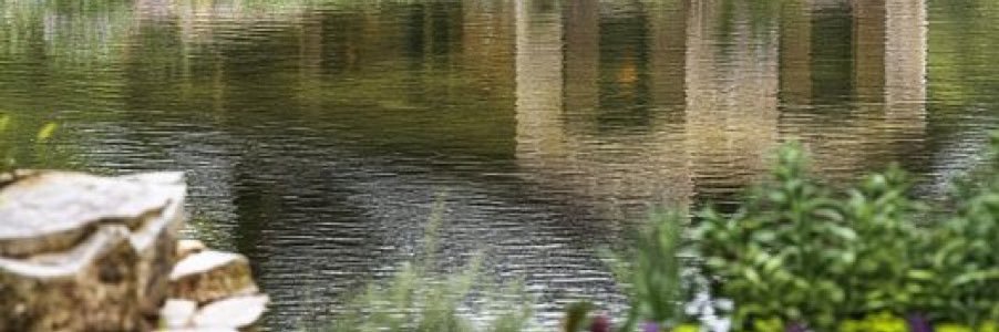 DRohatynsky's profile banner image