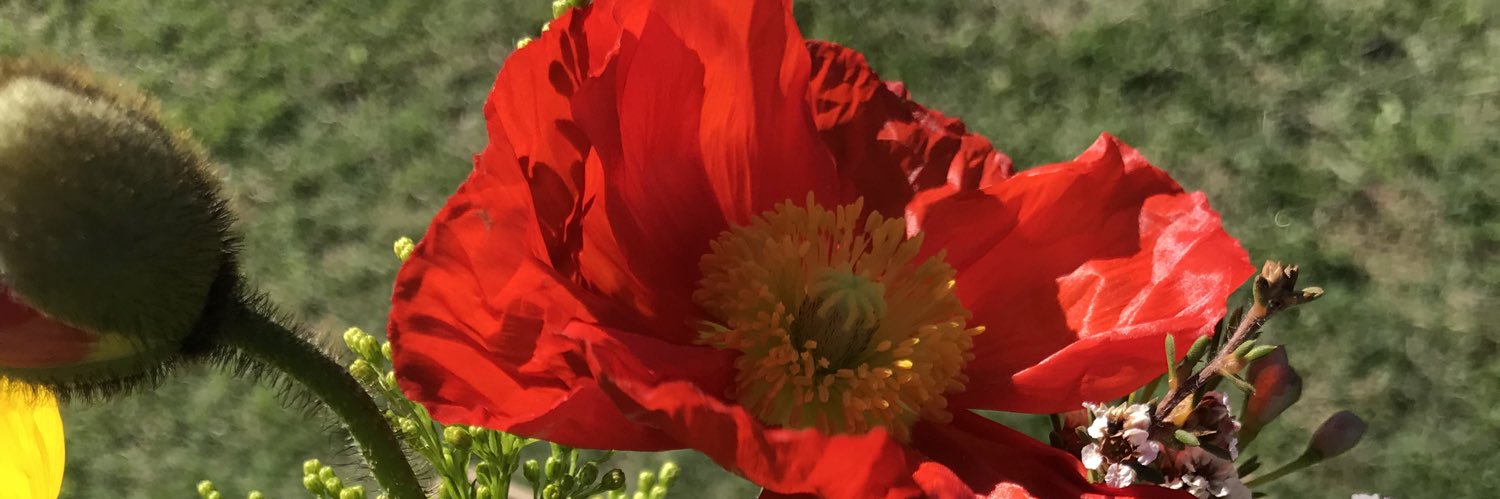 NikHowson's profile banner image