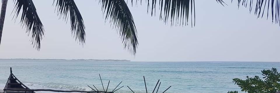 Rayhaanpasha's profile banner image