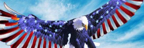 David Beswick🇺🇸💙🚔🍺🥃⚔️🗽🎊👮IFBAP🇮🇱 banner