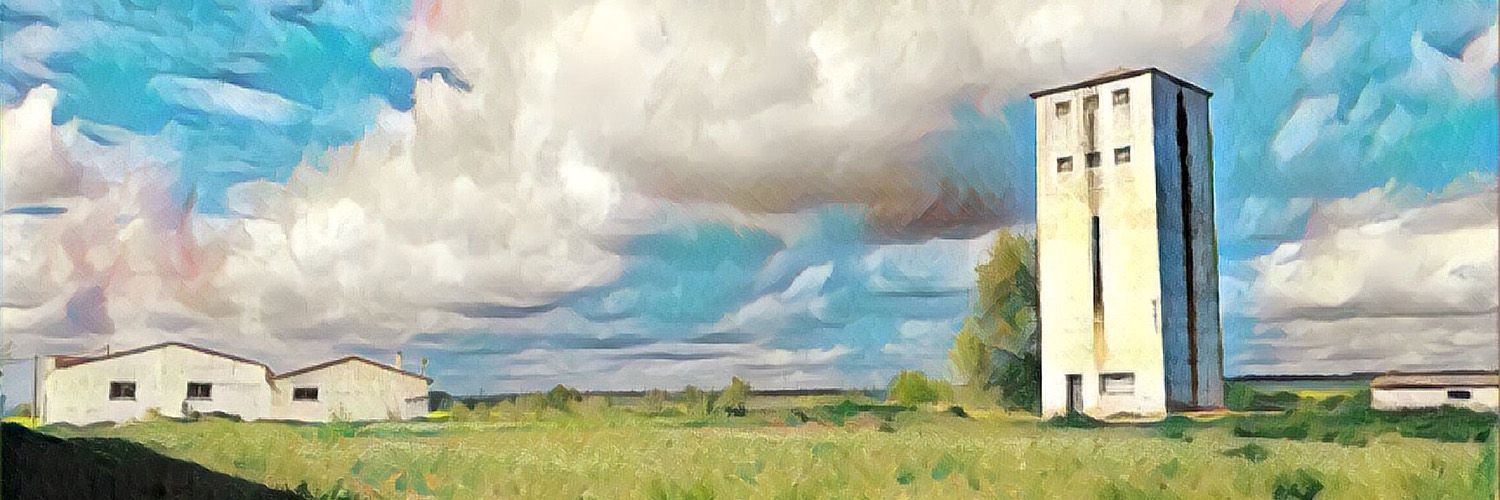 Carmen Bachiller banner