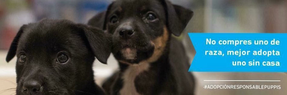 PuppisArg's profile banner image
