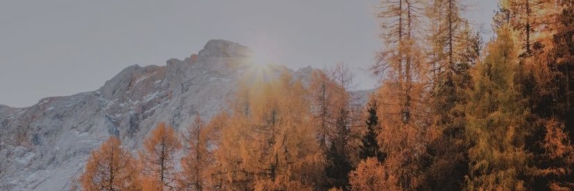 RhexxtheGreater's profile banner image