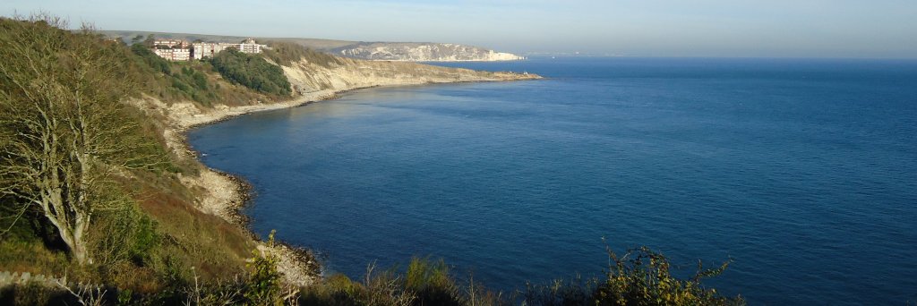 Claire Whittington banner