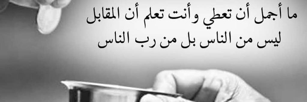 صقر الشمال banner