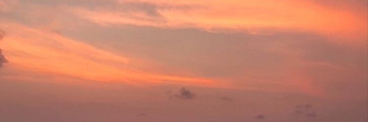 ava berg banner