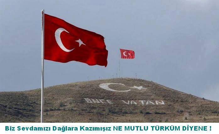 temurcan's profile banner image