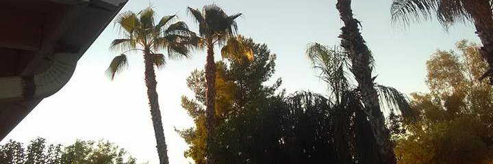 Dennis_Mumbles's profile banner image