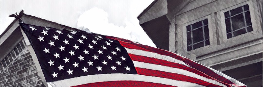 🇺🇸 Save Tina Peters 🇺🇸 banner