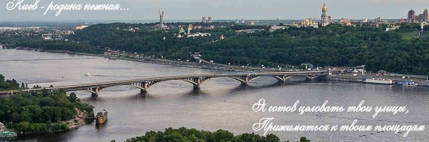 Дмитрий Чекалкин's banner