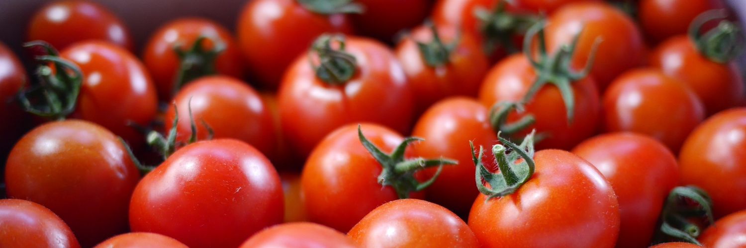 阿部田　誠🍅2025-2026年　産直EC始めます banner