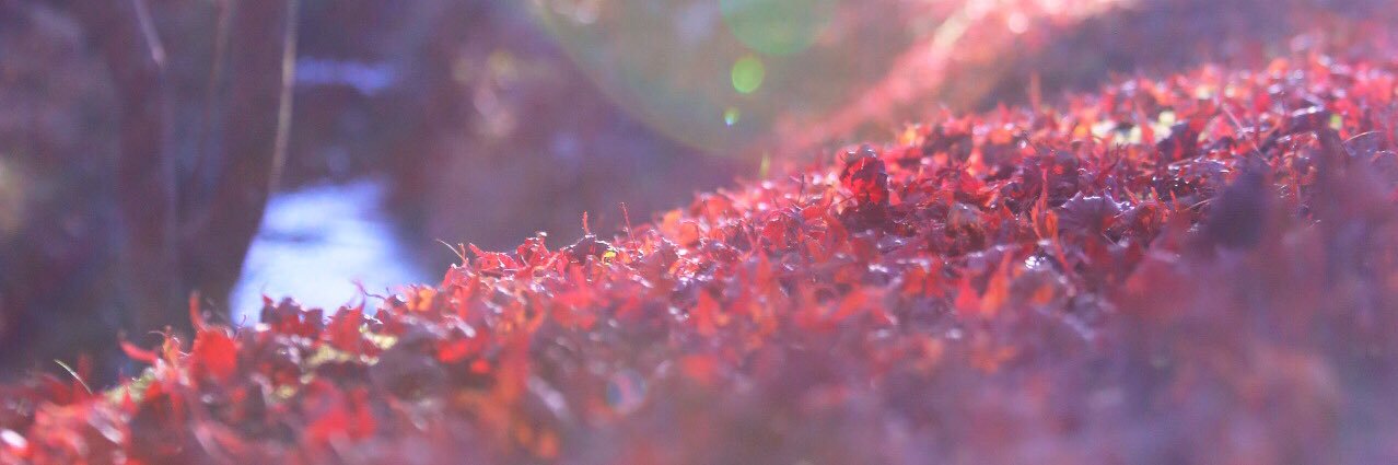 ___krkl_1's profile banner image