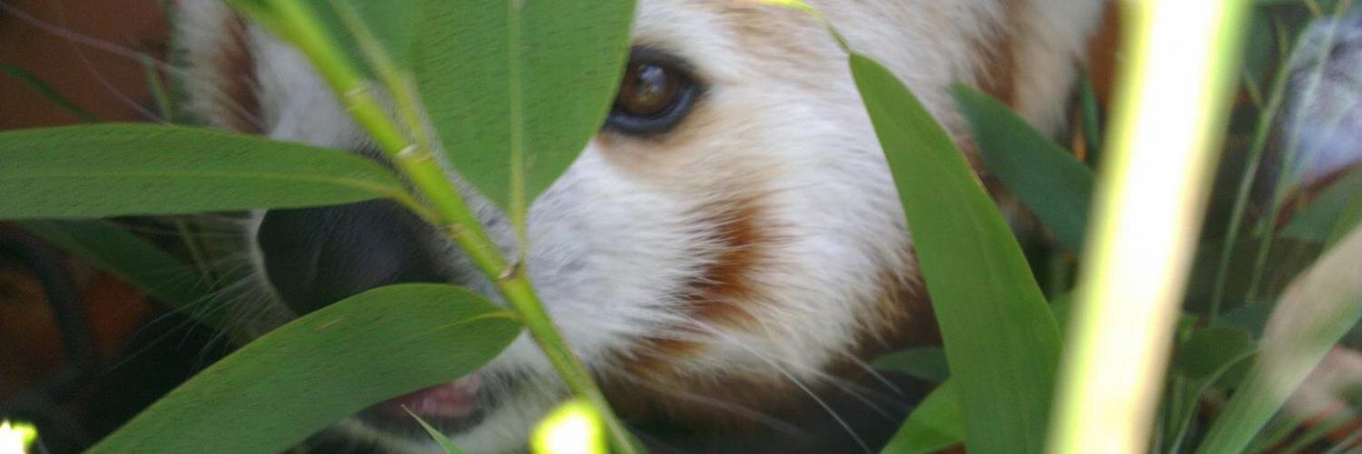 kernowils's profile banner image