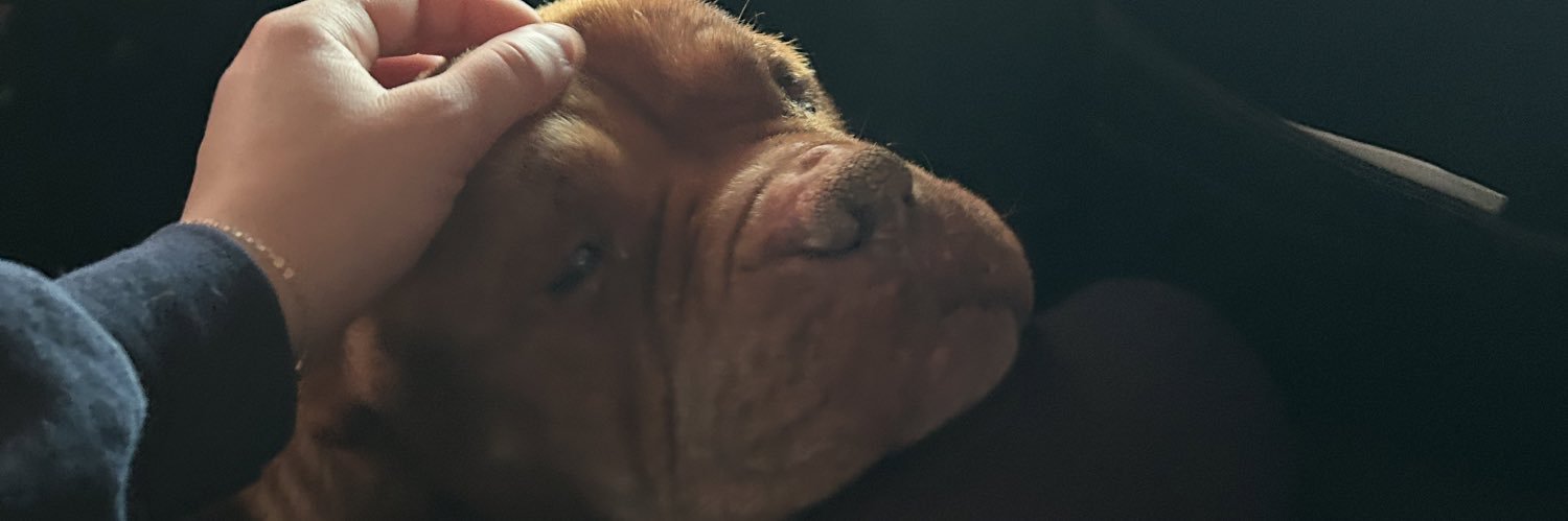 marithemonsterr's profile banner image