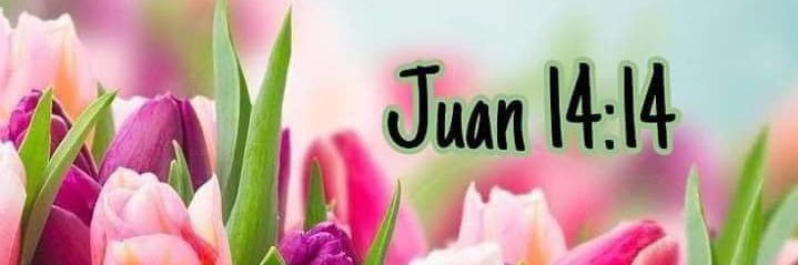 Ana_Rivera31's profile banner image