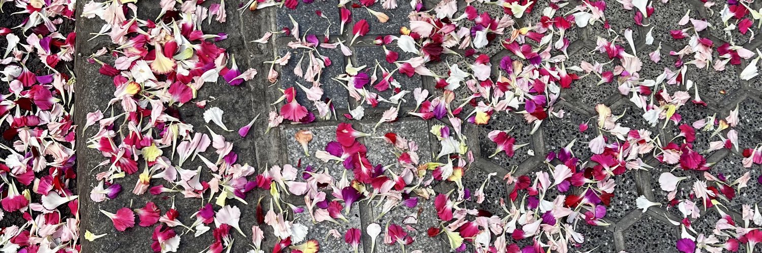 marinaconb's profile banner image