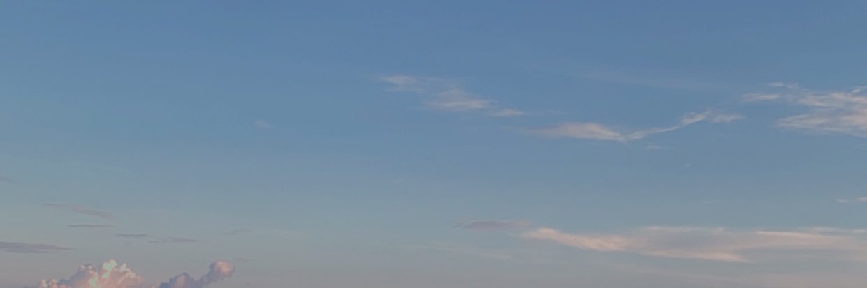 Carlo Thenard banner
