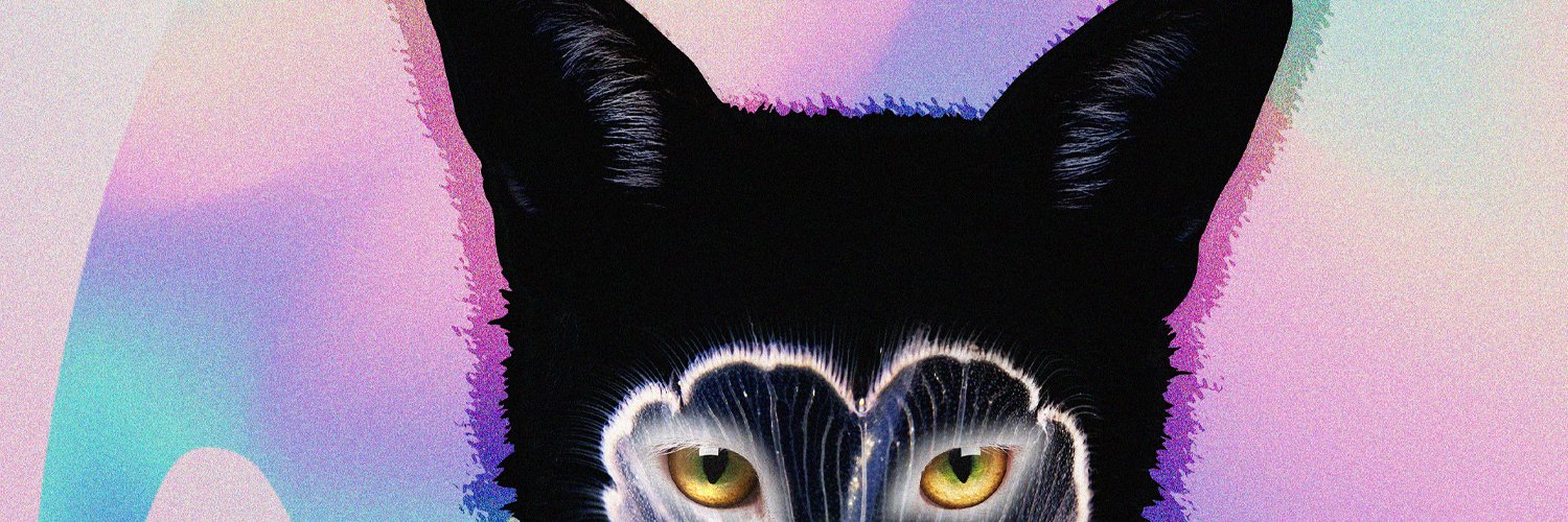 GalantisFans's profile banner image