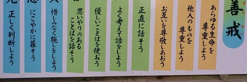 amamiya905's profile banner image