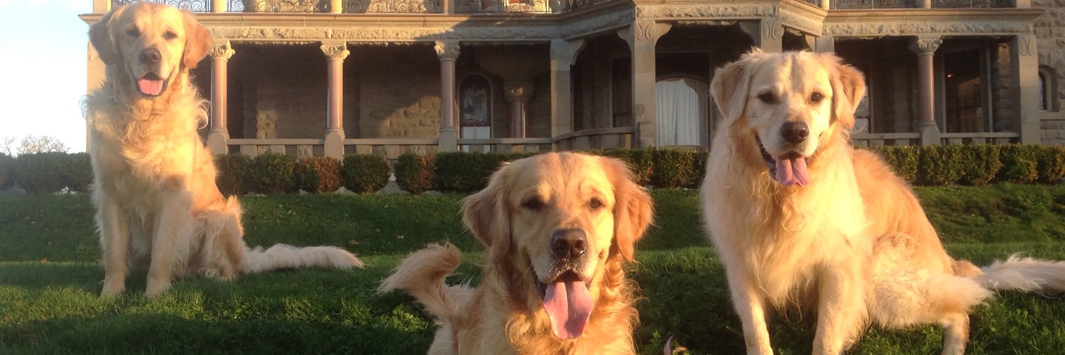 Goldens_Hunter's profile banner image