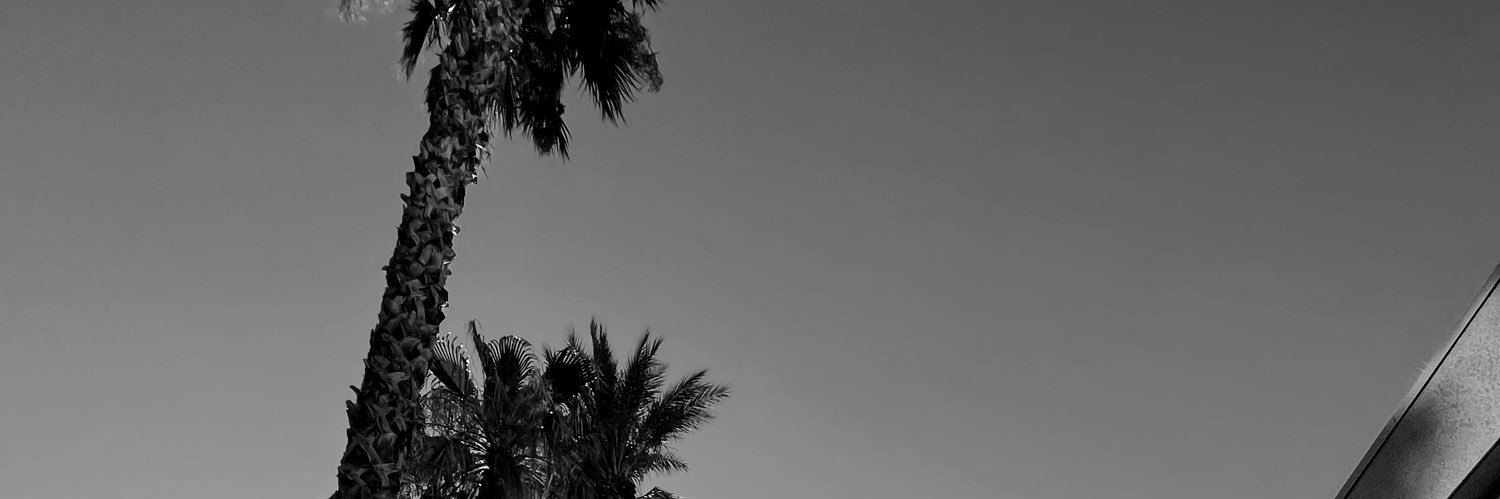 lexireposa's profile banner image