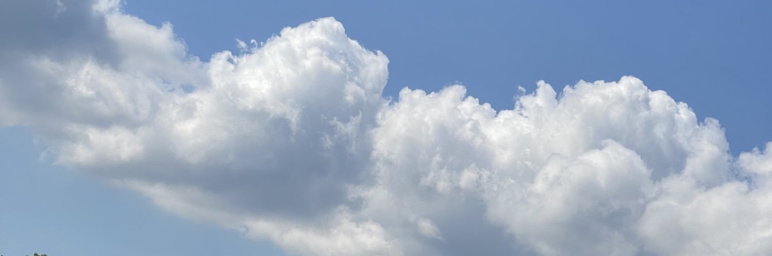 izzybail's profile banner image