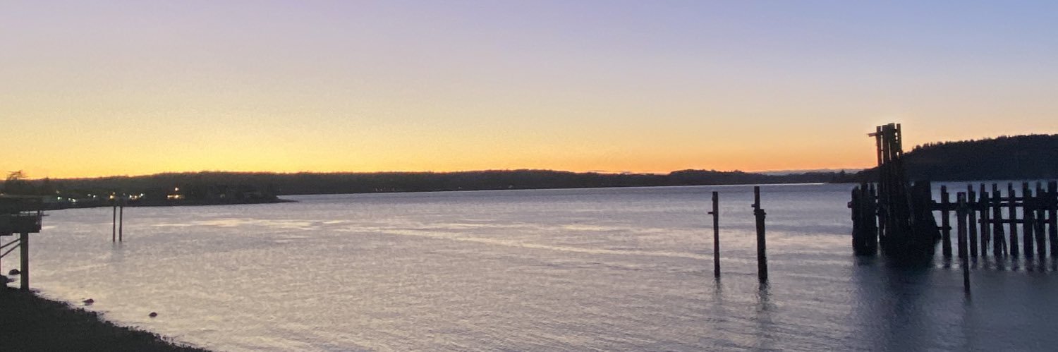 P1NTO15's profile banner image