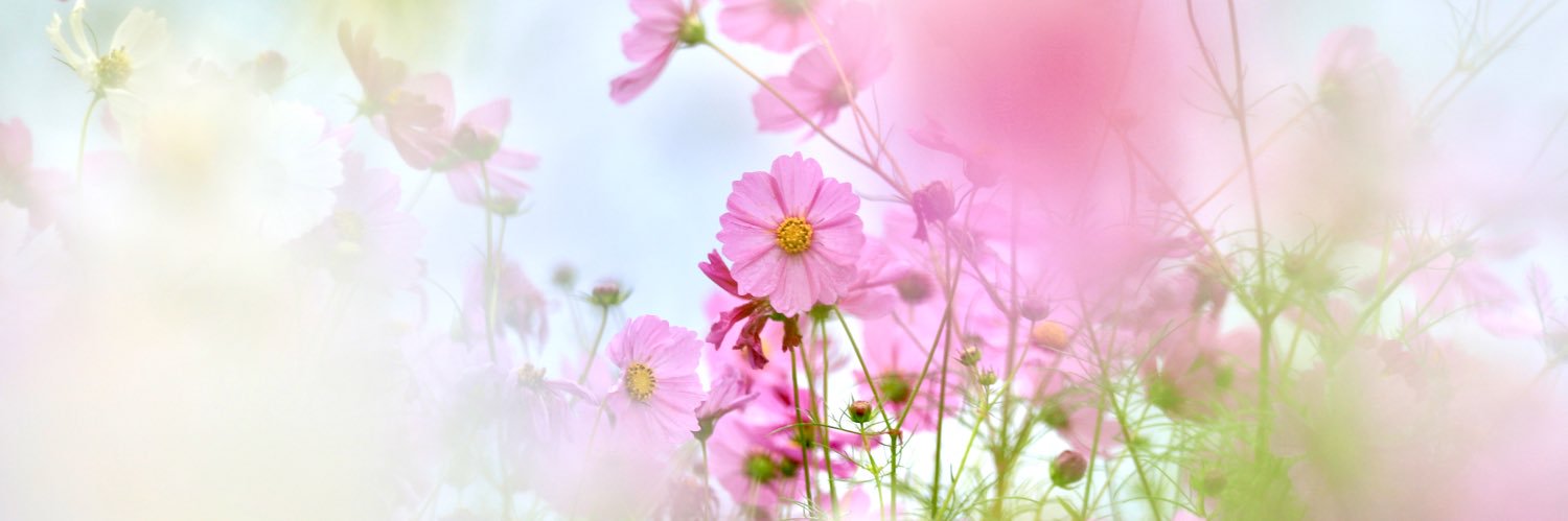 T banner