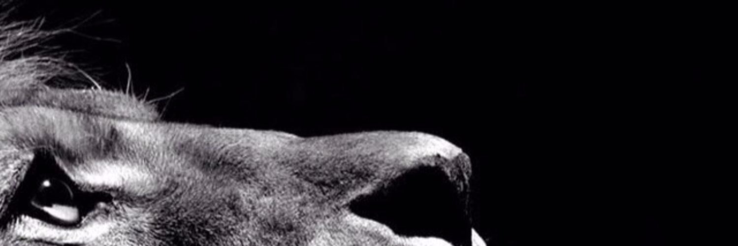 simontok69's profile banner image