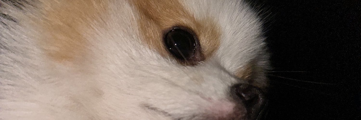 saavmarquez's profile banner image