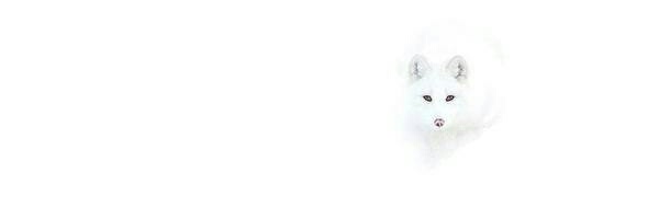 _lagitiduran's profile banner image