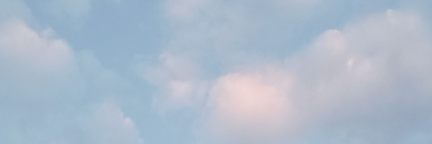 pizzerolameli's profile banner image
