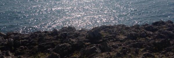 paulthom56 Profile Banner