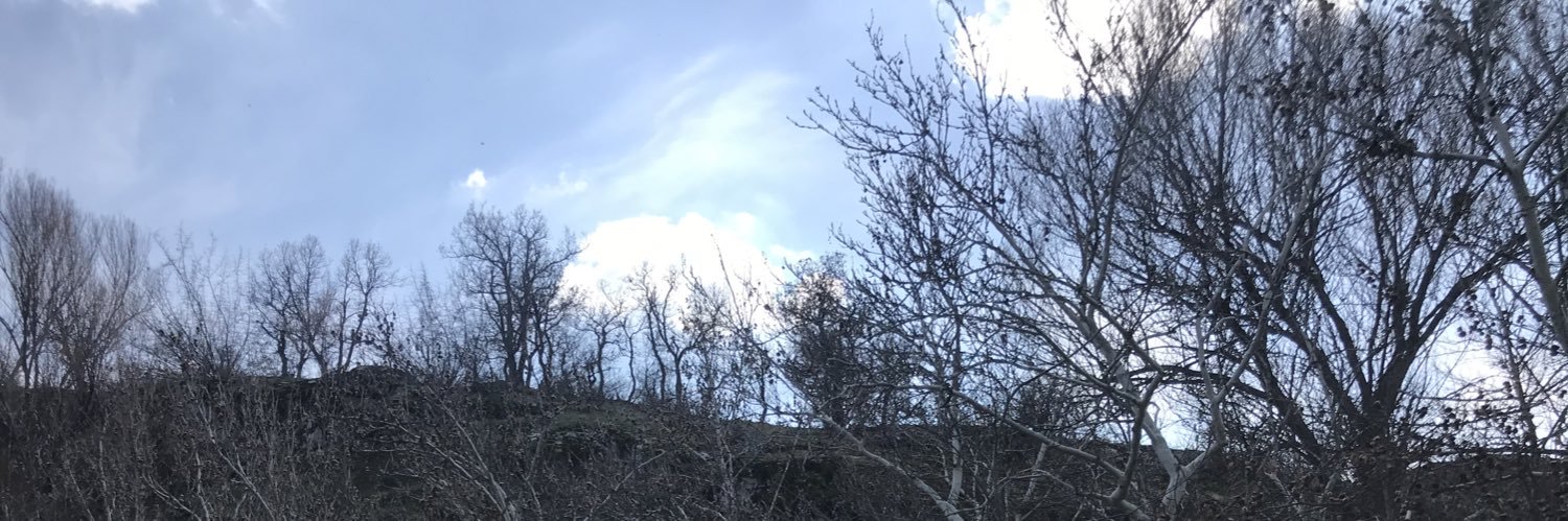 AsilBasgan's profile banner image