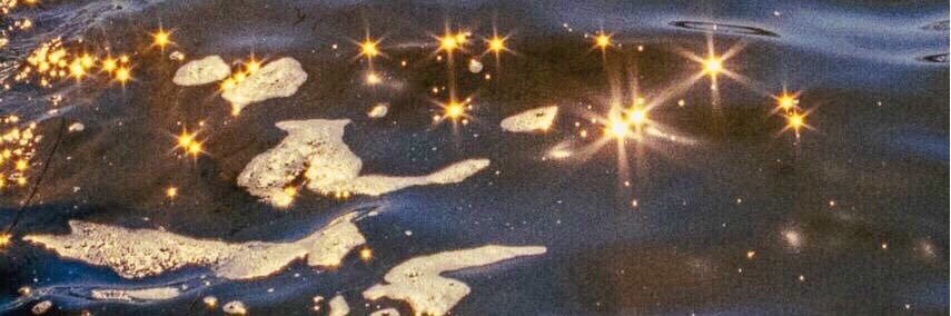 729gra's profile banner image