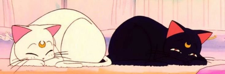 lpzfatima0's profile banner image