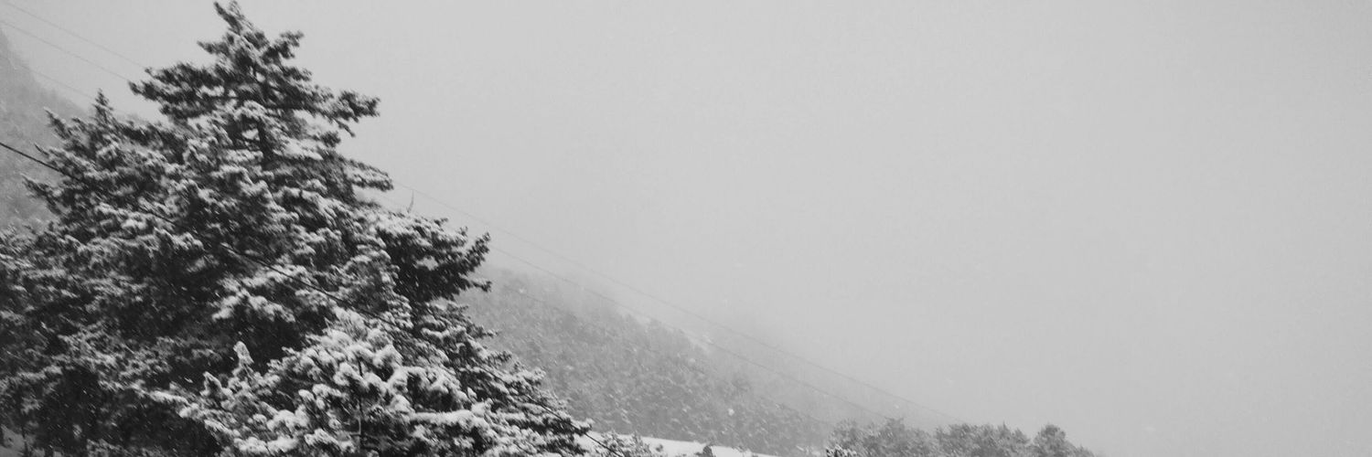 01Brhn's profile banner image